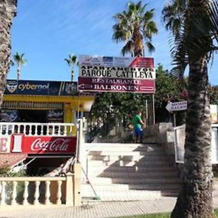 Parque Cattleya Tenerife ปลายาเดลาสอเมริกาส ภายนอก รูปภาพ