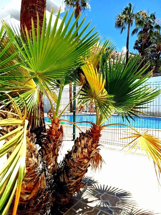 Parque Cattleya Tenerife ปลายาเดลาสอเมริกาส ภายนอก รูปภาพ